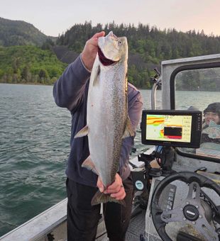 Beautiful Chinook salmon from Dayton WA waters!