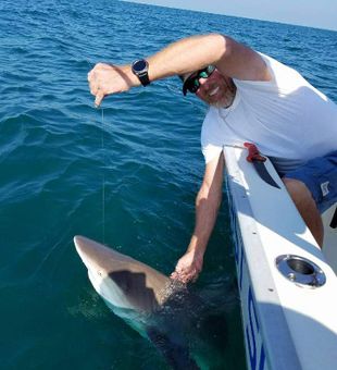 Shark Fishing in Destin, FL