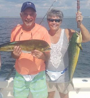 Mahi Mahi in Destin, FL