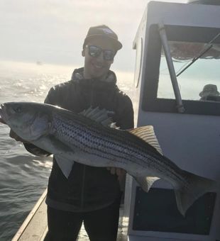 Reel in striped bass on Cape Cod waters.