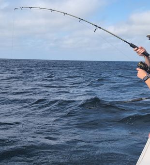 Fish On! - Panama City Beach, FL.