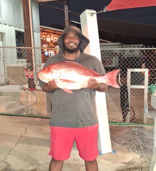 Chase redfish and speckled trout on thrilling inshore fishing trips in Panama City Beach, FL designed for anglers of all experience levels.