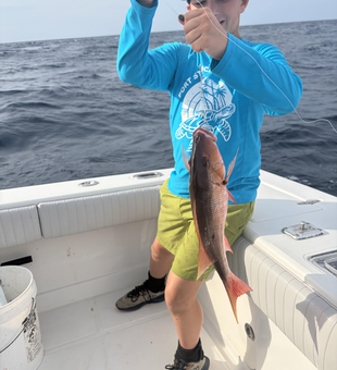 Beautiful Jupiter mutton snapper brought to the boat!
