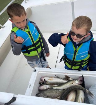 Bold! Port Clinton walleye catch.