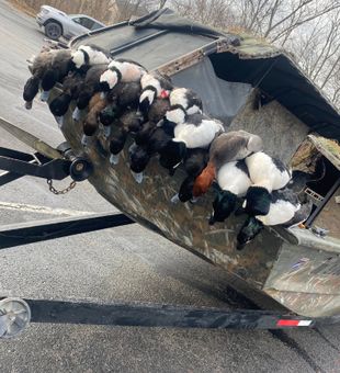 Successful duck hunt in Ohio’s marshes