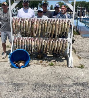 Loaded walleye fishing charter haul limit catch Lake Erie