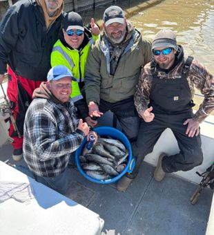 Fresh walleye fishing charter catch cooler haul dock day