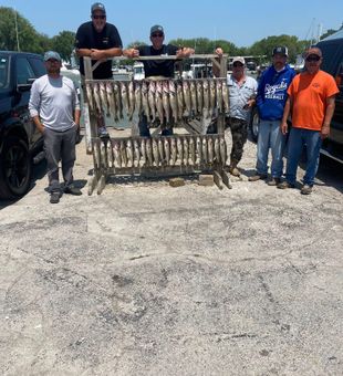 Solid walleye fishing charter limit catch dock haul