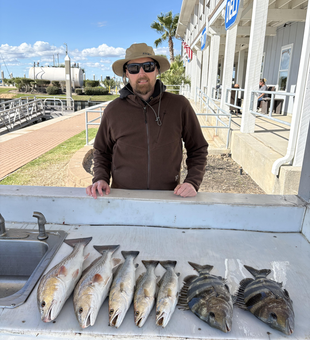 Great Galveston Bay catch: redfish, sheepshead, and speckled trout!