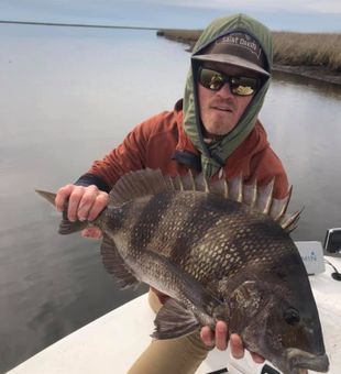 Black drum adventures, Louisiana style
