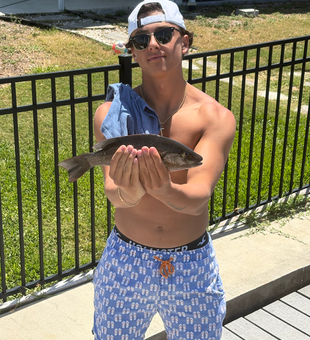 Anna Maria Island grey snapper makes for excellent fishing!