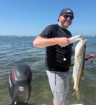 Nice snook caught in Holmes Beach Florida!