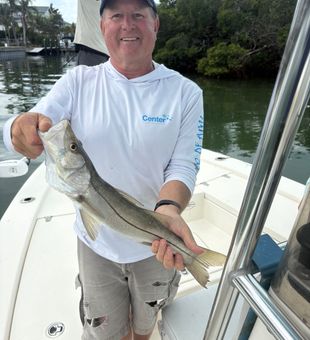 Nice snook catch in Holmes Beach Florida waters!