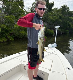 Nice Holmes Beach snook on the boat!
