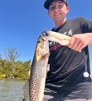Nice speckled trout from Holmes Beach waters!
