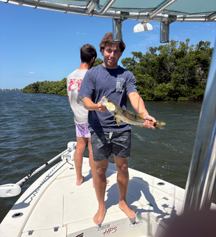 Beautiful Anna Maria Island snook hauled in!