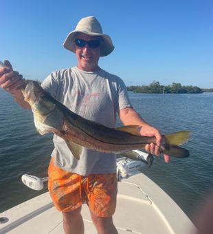 Catching big fish in Anna Maria, FL
