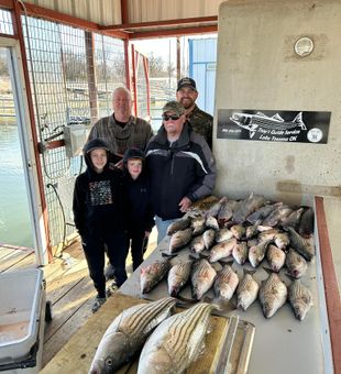 Family striped bass catch!
