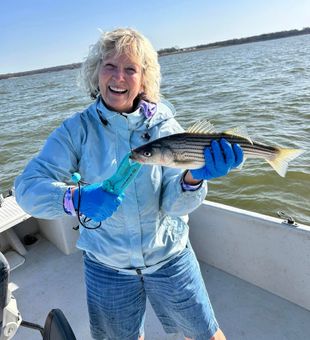 Striped bass joy! 
