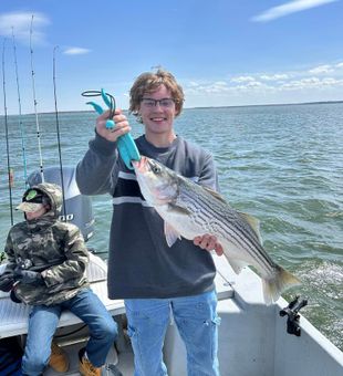 Nice striped bass!