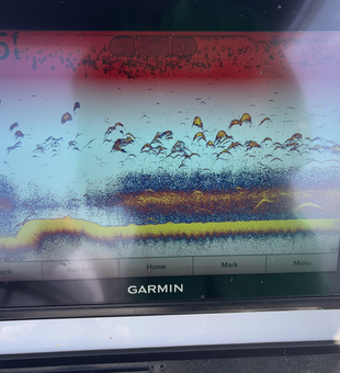 Storms brewing, but the fishing's hot in Madill with these deep sea tactics!