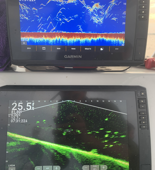 Reading the sonar for the best fishing adventure. Deep water jigging and trolling techniques paying off.