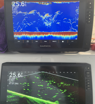 Reading the water with sonar - key to successful deep sea jigging and trolling.