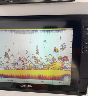 Sonar showing fish activity below - perfect conditions for deep sea jigging and drift fishing today!