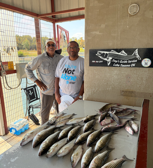 Lake Texoma striped bass limit!