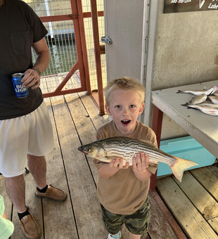 Relaxing day on the patio with the latest catch.