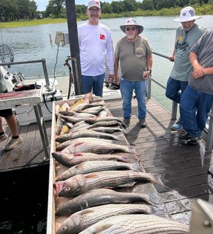 Incredible striped bass haul in Madill OK!