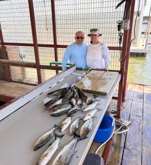 Productive day on Lake Texoma!