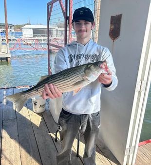 Oklahoma sunshine and steady hookups define Lake Texoma fishing trips from Madill.