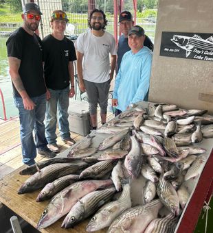 Striped bass limit from Madill OK waters!