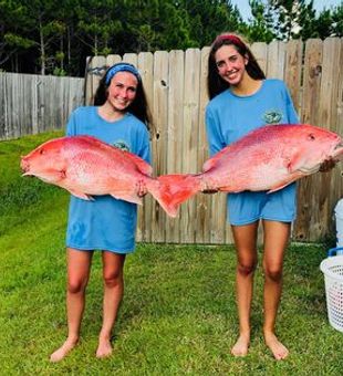 Snapper Fishing 2023