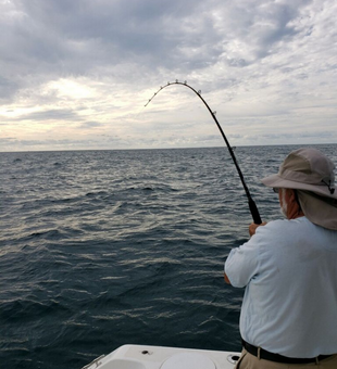 Rods, Reels: The perfect duo in Chincoteague 
