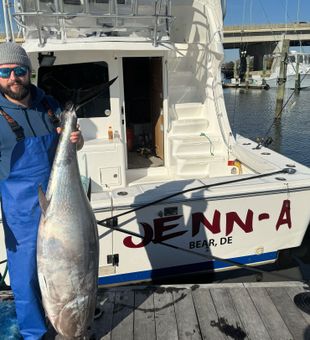 Massive bluefin tuna!