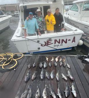 Point Pleasant Beach fishing action