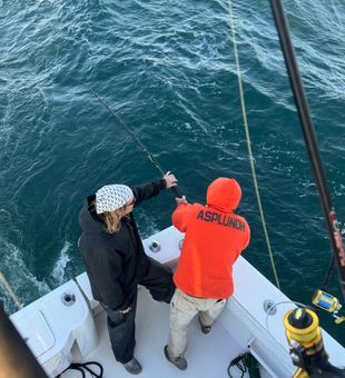 Offshore fishing