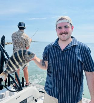 Nice sheepshead from Savannah waters!