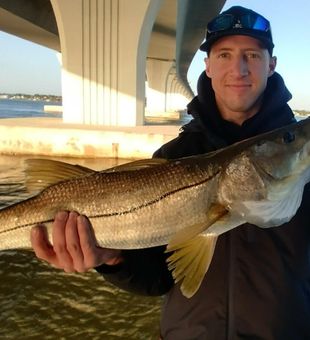 Amazing Jensen Beach snook on a guided fishing tour!
