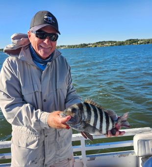 Sheepshead are biting  - Jensen Beach, FL.