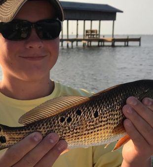 Navarre FL Sunset Redfish Vibe