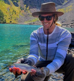 Rainbow Trout in Northern Colorado