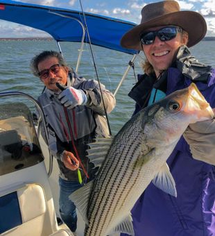 Caught this huge Striped Bass