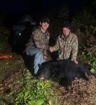 Big woods, bigger bears.