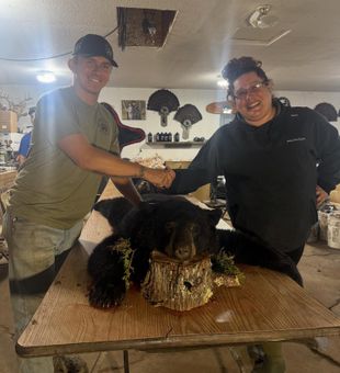 From dawn to trophy—bear hunting thrills.