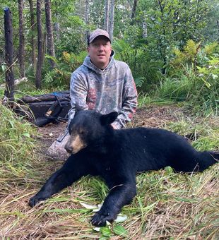 Minnesota bear country awaits.