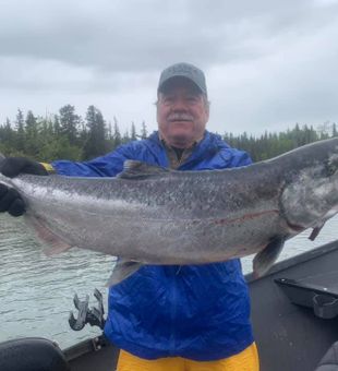 Lower Kenai River fishing Chinook Trophy!