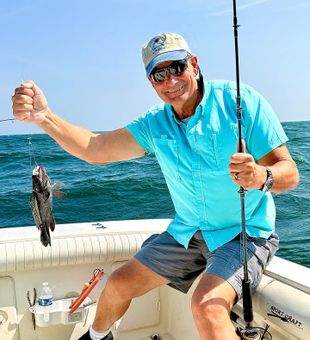 Catching sea bass on the coast.